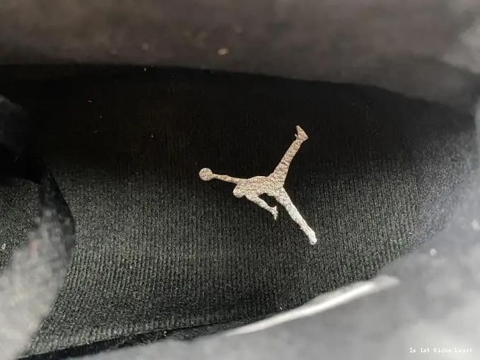 Air Jordan Silver 6 DX2836-001 Metallic 0527